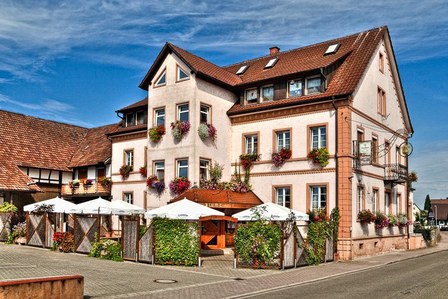 Gasthaus Blume Вильштет Экстерьер фото